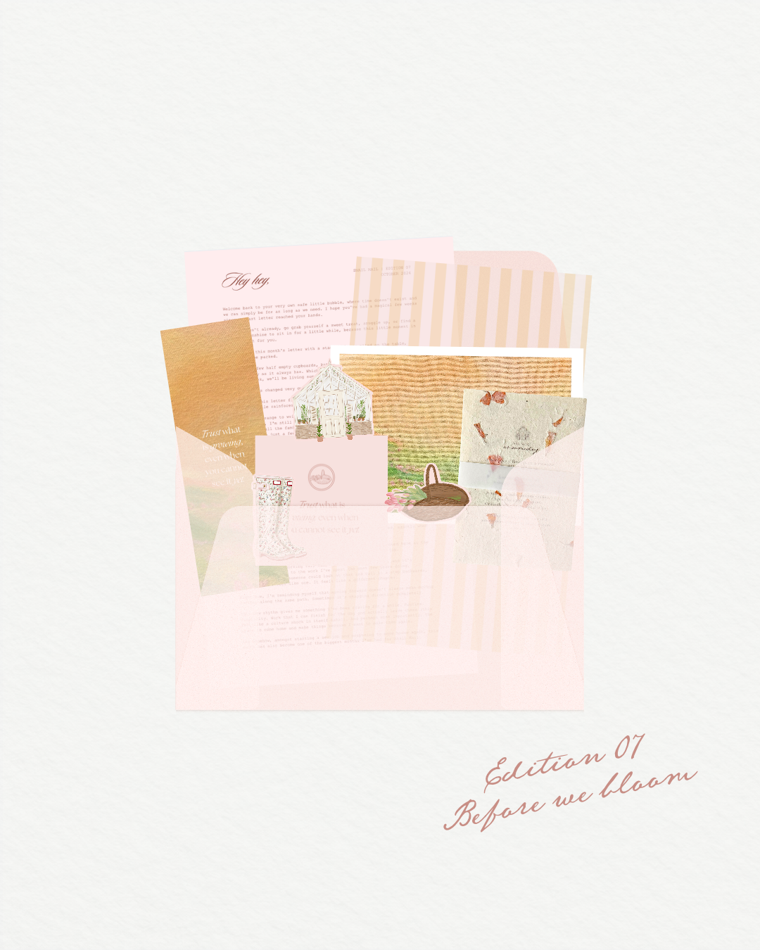 Collector's Edition | Before We Bloom